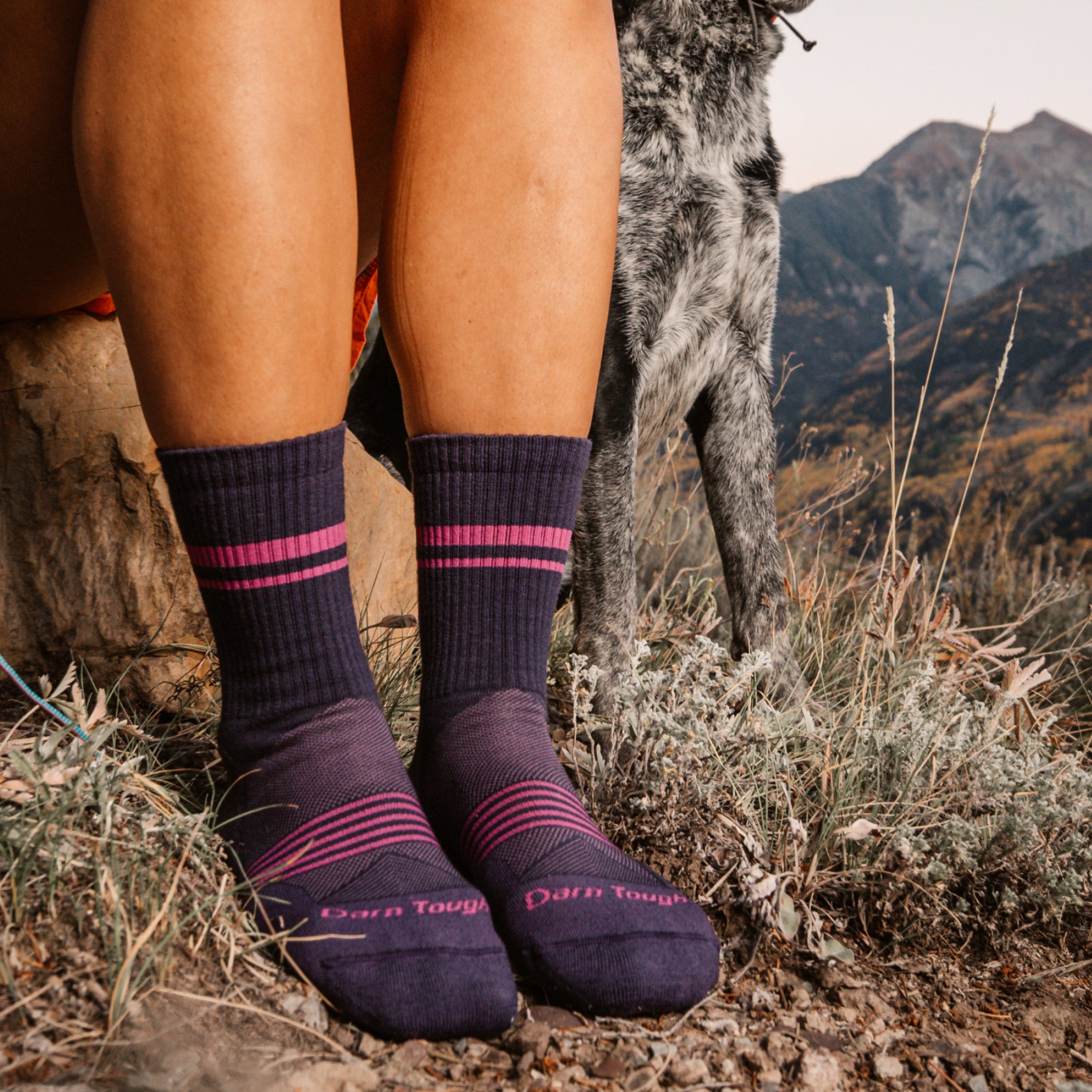 Women's Element Micro Crew Lightweight Running Socks - Image 3