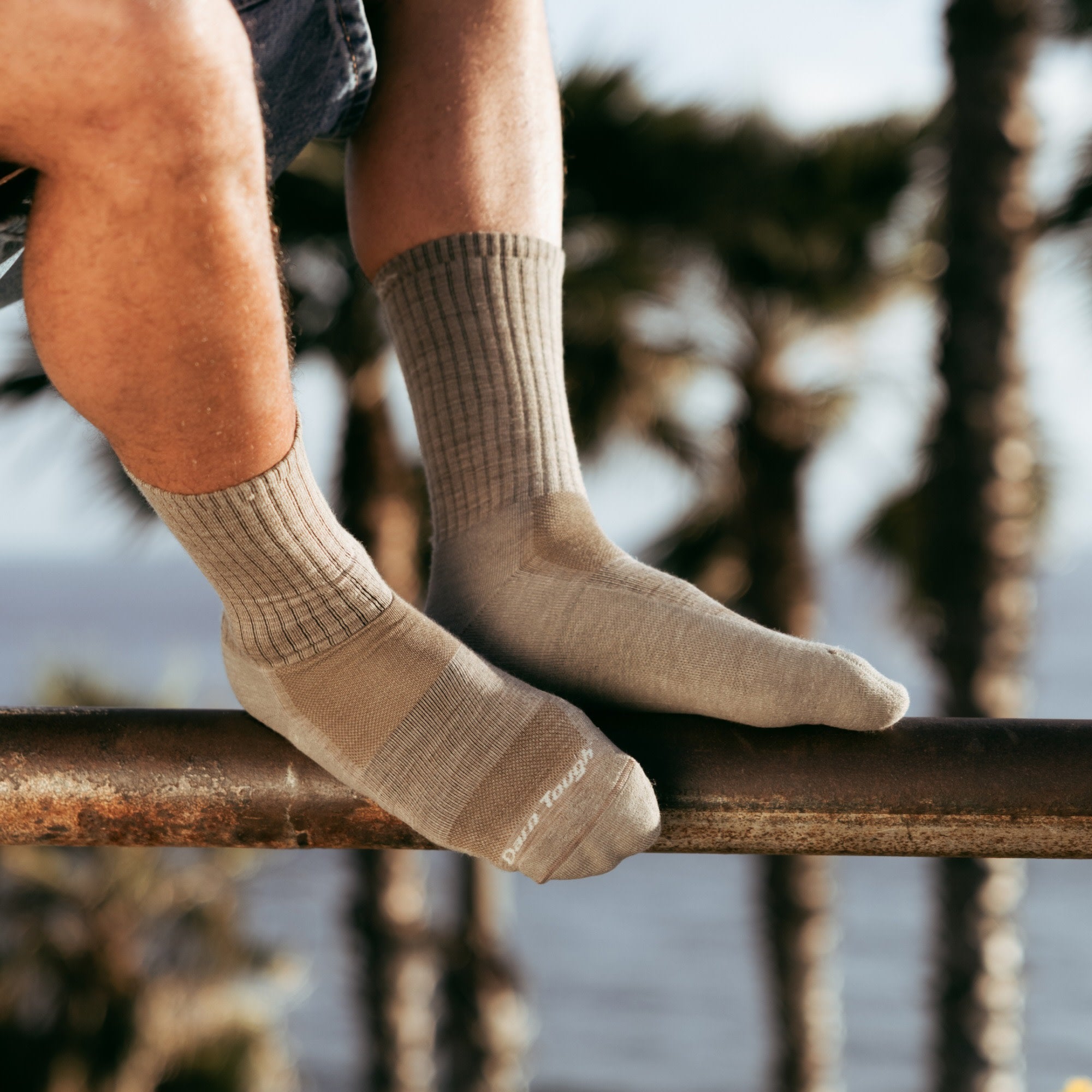 Men's The Standard Crew Cushioned Lightweight Lifestyle Socks - Image 7