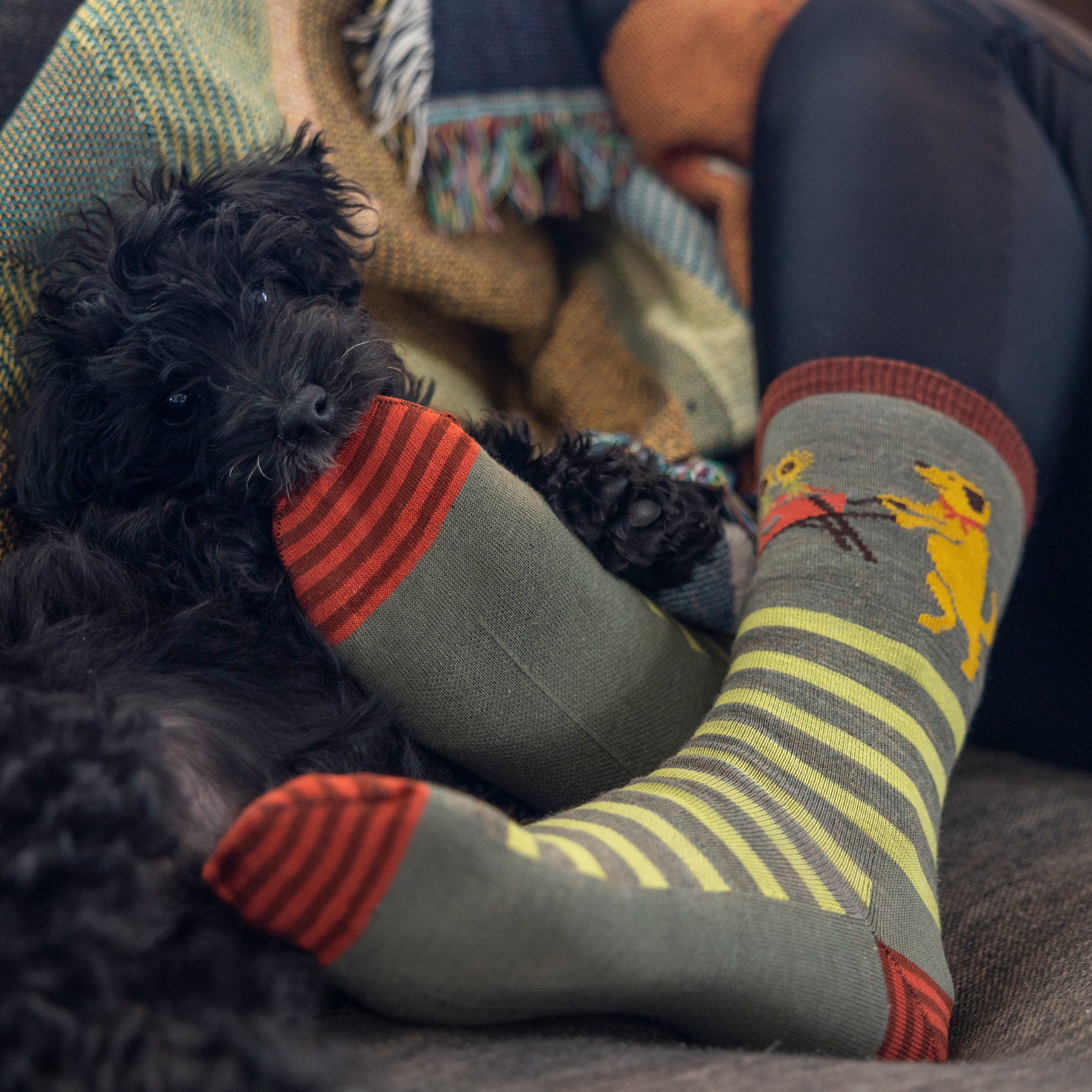 Women's Animal Haus Crew Lightweight Lifestyle Socks - Image 8