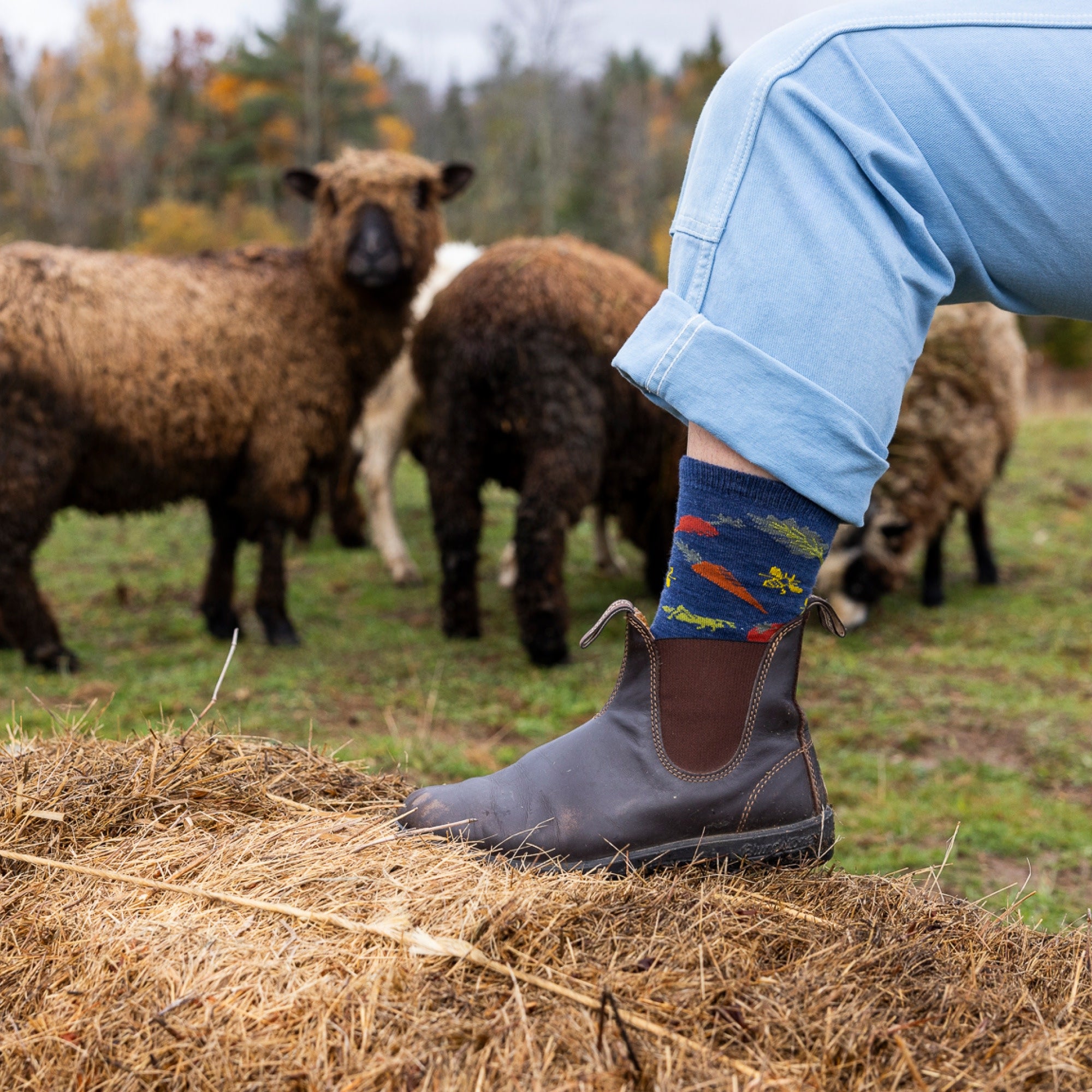 Women's Farmer's Market Crew Lightweight Lifestyle Socks - Image 9