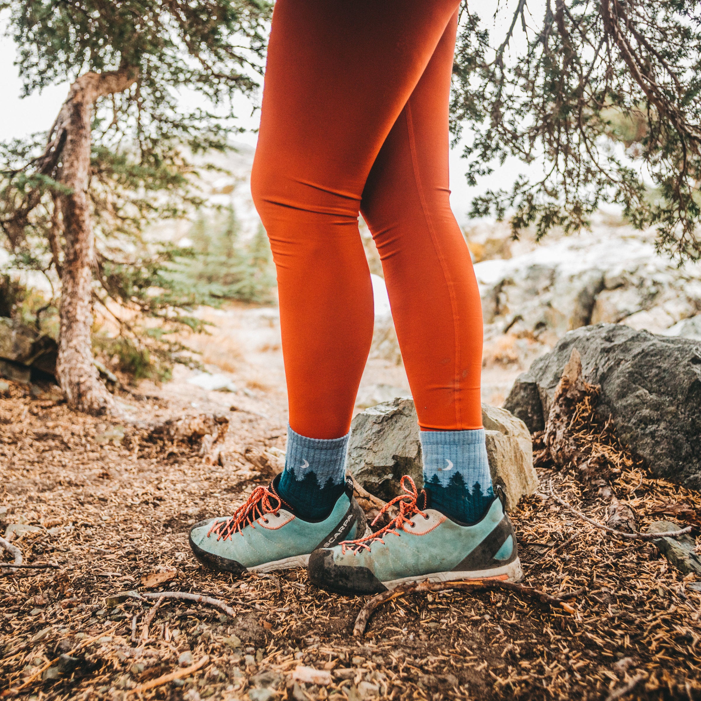 Women's Treeline Micro Crew Midweight Hiking Socks - Image 9